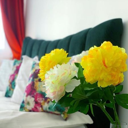 Red Hotel Accommodation คลูจ-นาโปกา ภายนอก รูปภาพ